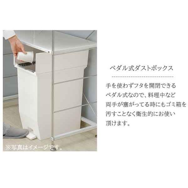 省スペースで大きく開く ペダル式 ダストボックス 20L 両開き キッチン