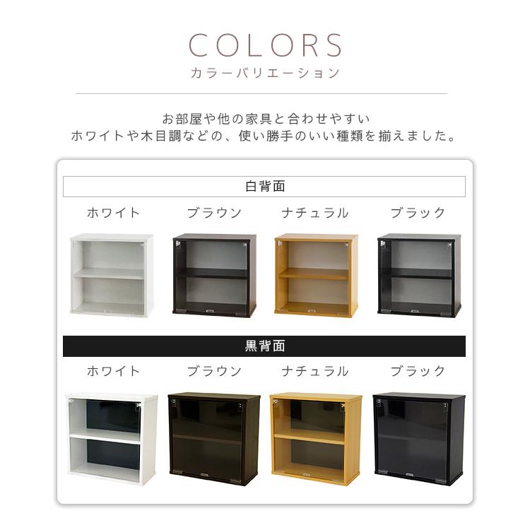 壁掛け棚ボックス 壁掛け コレクションケース キューブボックスα 棚付き 透明扉