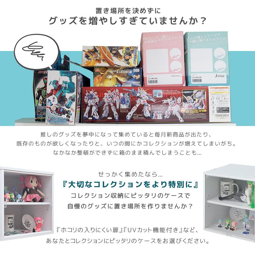 2個セットコレクションケース キューブボックスα （可動棚付きタイプ