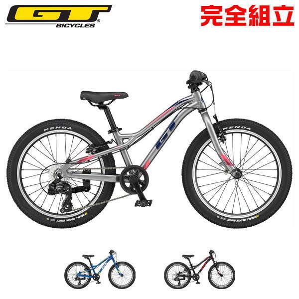 GT - 新やって行く勇気付ける大売り出し ジーティー 2024年模範例 STOMPER PRIME 20 V2 ストンパー プライム20 20in 小わっぱ用銀輪 自転車車体-子供用自転車