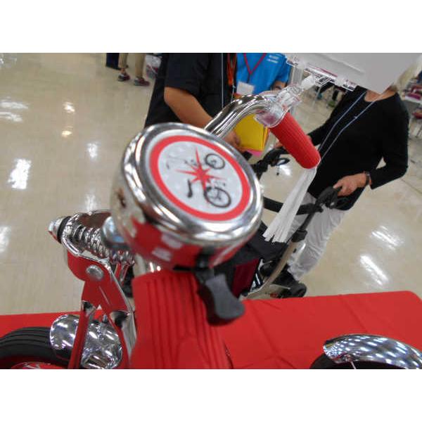 SCHWINN（シュウィン） 2021年モデル LIL STINGRAY S.DX TRICYCLE