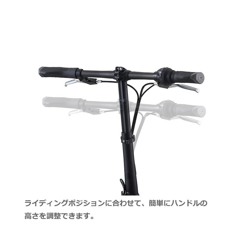 DAHON（ダホン） DAHON INTERNATIONAL HIT Limited Edition ヒット