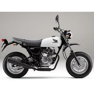 エイプ(APE)100 シャスターホワイト ウレタン塗料1kgセット : バイク