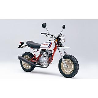 エイプ(APE)50 シャスターホワイト ウレタン塗料500gセット : バイク