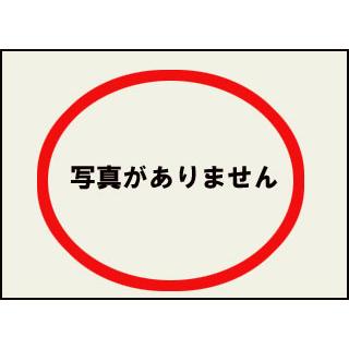 VTR250 サイクロンブルーメタリック ウレタン塗料500gセット : バイク