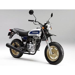 エイプ(APE)100 デジタルシルバー ウレタン塗料500gセット : バイク