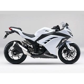 Ninja250 パールスターダストホワイト ウレタン塗料250gセット