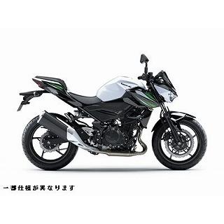 Z250 パールスターダストホワイト ウレタン塗料1kgセット : バイク