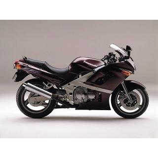 ZZR400 キャンディーアマランスレッドマイカ ウレタン塗料1kgセット