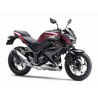 Z250 キャンディークリムゾンレッド ウレタン塗料500gセット : バイク