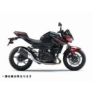 Z250 キャンディーカーディナルレッド ウレタン塗料250gセット