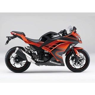 Ninja250 キャンディーバーントオレンジ ウレタン塗料500gセット