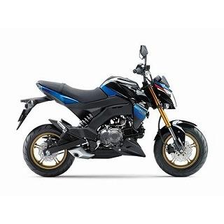 Z125PRO キャンディープラズマブルー ウレタン塗料1kgセット : バイク