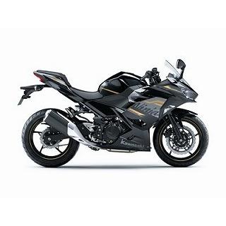 Ninja250 メタリックマットグラファイトグレー ウレタン塗料250gセット