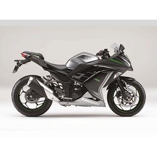 Ninja250 メタリックムーンダストグレー ウレタン塗料250gセット