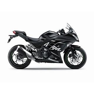 Ninja250 フラットエボニー ウレタン塗料1kgセット : バイクペイント