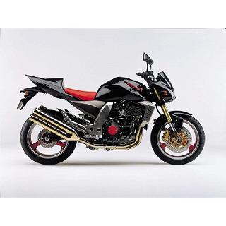 カワサキ純正色塗料 ブラックパール 450g塗料のみ : バイクペイント
