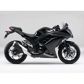 Ninja250 エボニーブラック ウレタン塗料250gセット : バイクペイント