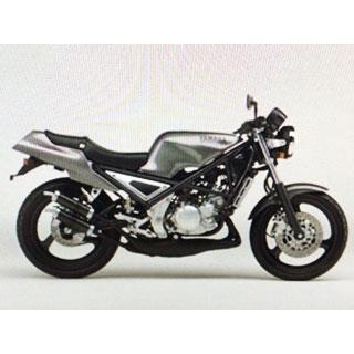 R1Z フロストシルバー ウレタン塗料1kgセット : バイクペイント.COM