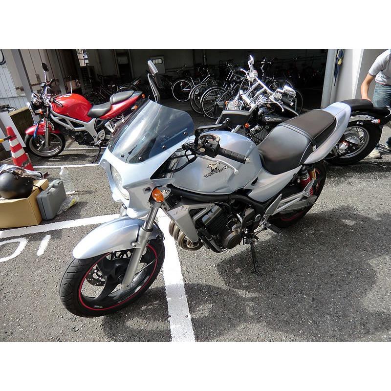 バリオス スポーツバイク用ホワイトカウル ワールドウォーク（WORLD WARK） バリオス2 ビキニカウル DS-01 タイプ