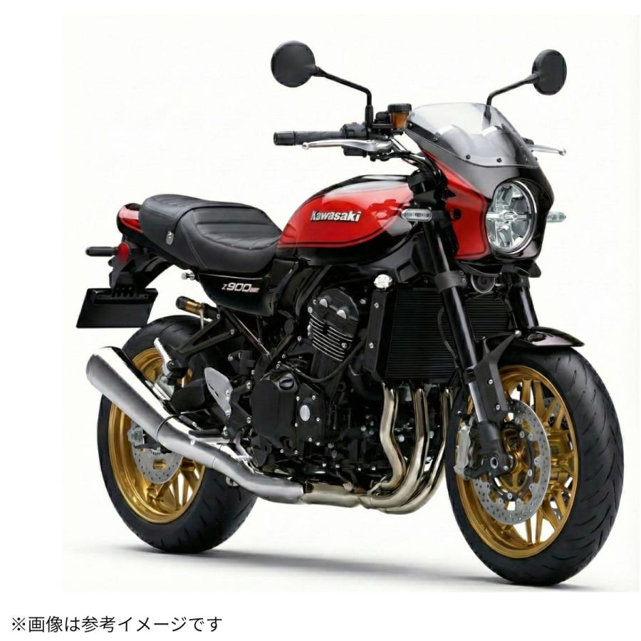 ワールドウォーク（WORLD WARK） カワサキ Z900RS用2色ビキニカウル