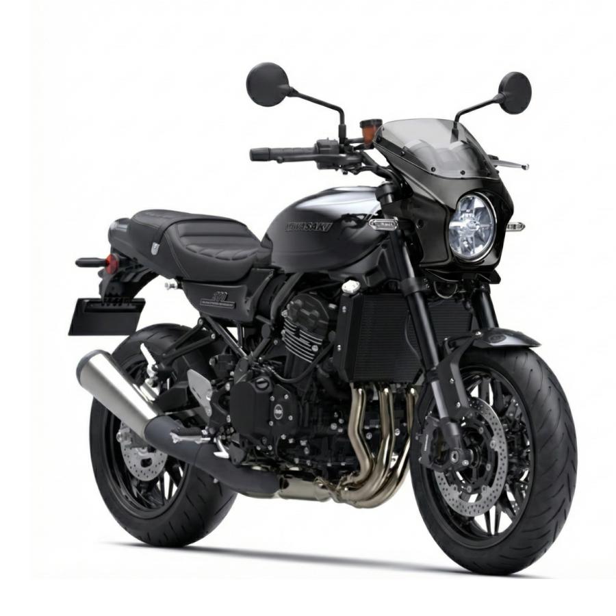 ワールドウォーク（WORLD WARK） カワサキ Z900RS用2色ビキニカウル
