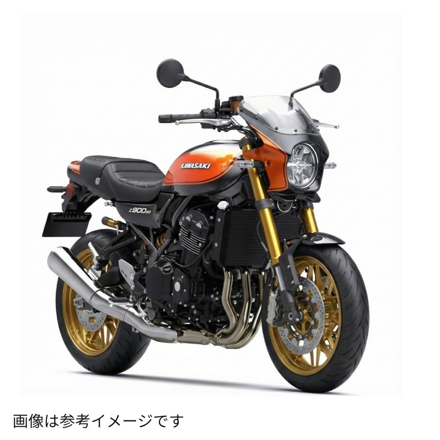 ワールドウォーク（WORLD WARK） カワサキ Z900RS用2色ビキニカウル