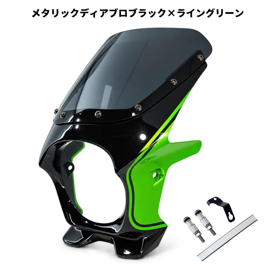 ワールドウォーク（WORLD WARK） カワサキ Z900RS用2色ビキニカウル