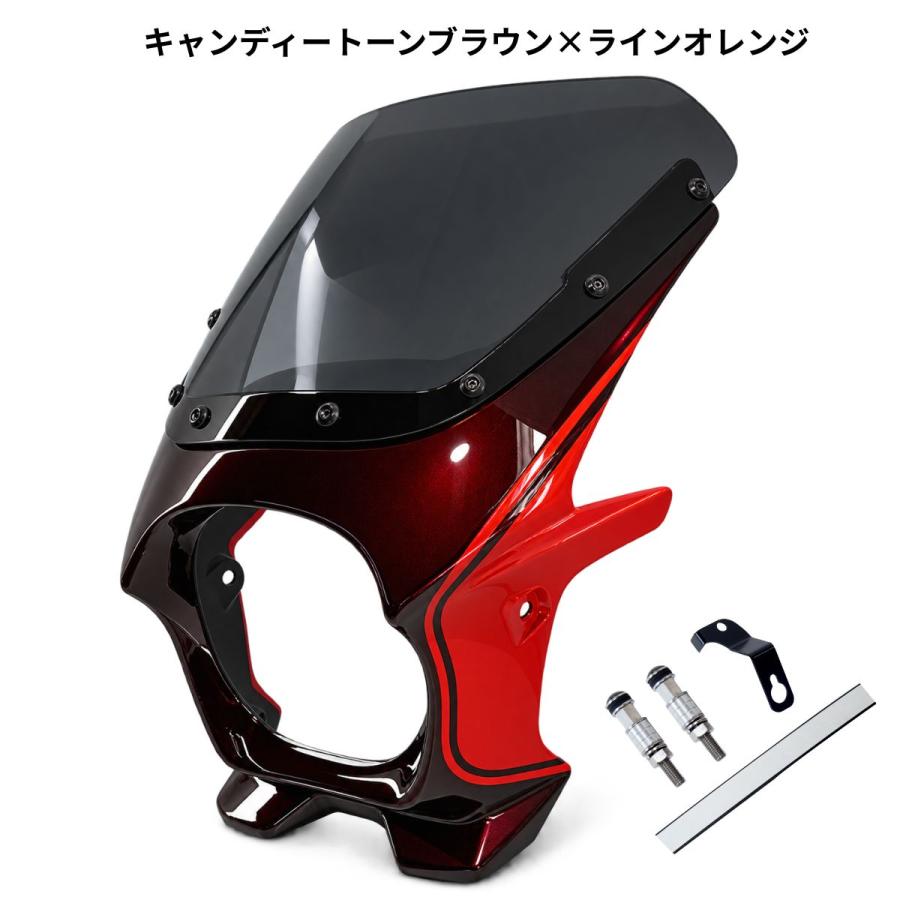 ワールドウォーク（WORLD WARK） カワサキ Z900RS用2色ビキニカウル