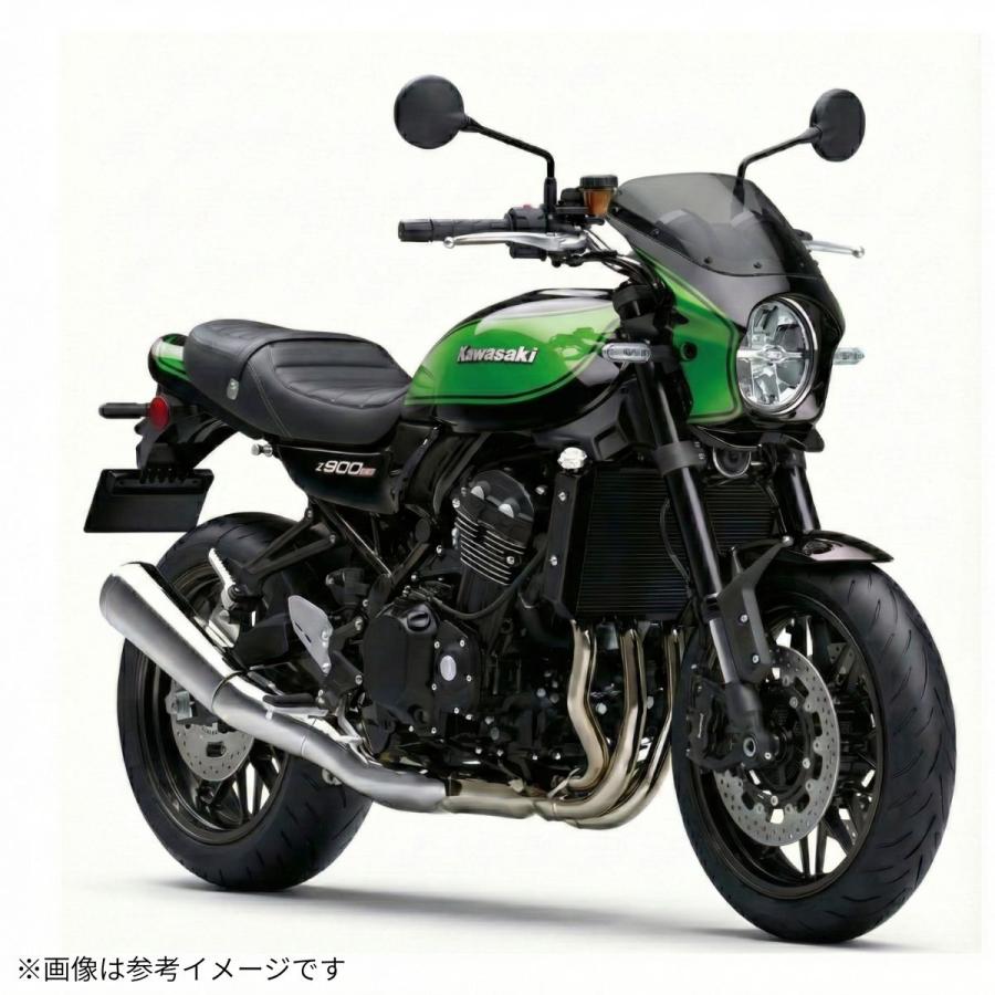 ワールドウォーク（WORLD WARK） カワサキ Z900RS用2色ビキニカウル