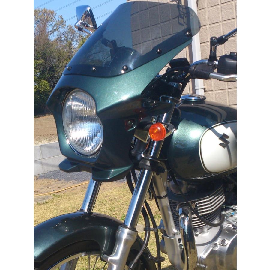 ワールドウォーク（WORLD WARK） ST250対応 汎用ビキニカウル DS-01