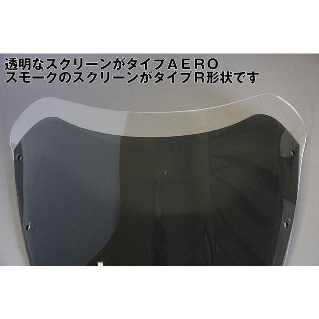 ワールドウォーク（WORLD WARK） W650対応 汎用ビキニカウル DS-01