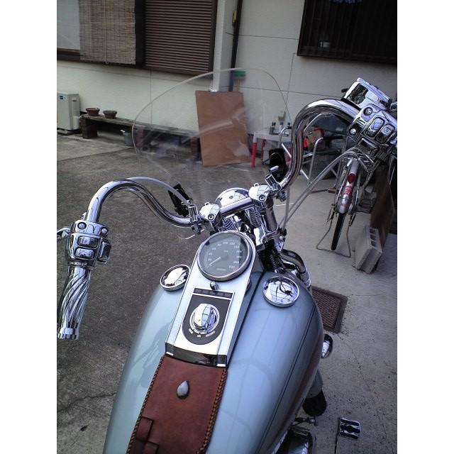 ワールドウォーク（WORLD WARK） 1年保証付き 汎用 大型スクリーン