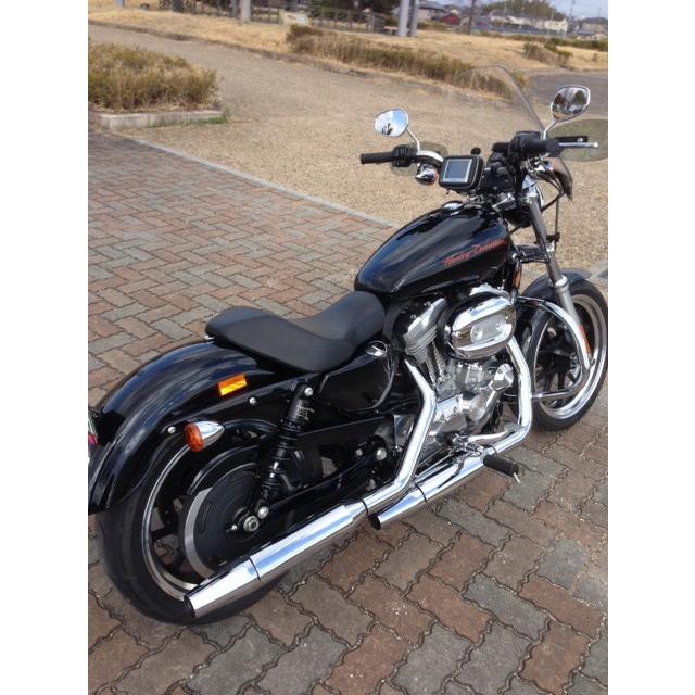 ワールドウォーク 1年保証付き HD ハーレー XL883L スポーツ