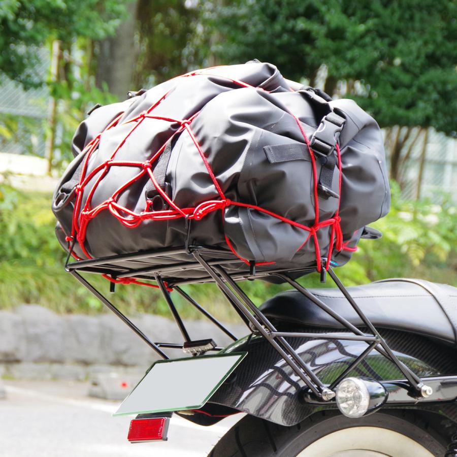 ワールドウォーク 1年保証付き スポーツスター用 キャリア