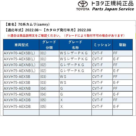 カムリ 70系カムリ フェンダーランプ(デザインタイプ)(設定1 カムリ 70系カムリ フェンダーランプ(デザインタイプ)(設定1