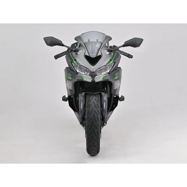代行品 デイトナ 48695 エンジンプロテクター ストリームライン Ninja ZX-4RR