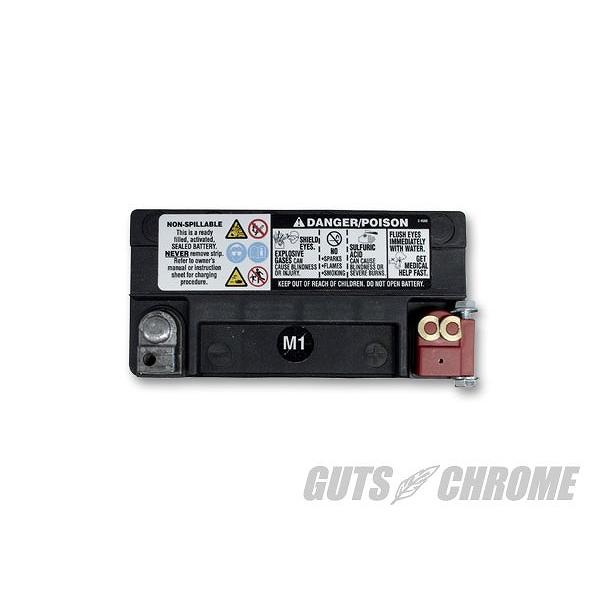 WESTCO ウエストコ 9800-4030 WCP20L バッテリー 97以降XL/ダイナ