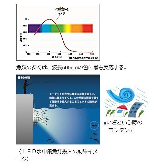 Hapyson ハピソン YF-501 乾電池式高輝度LED水中集魚灯 123mm×300mm