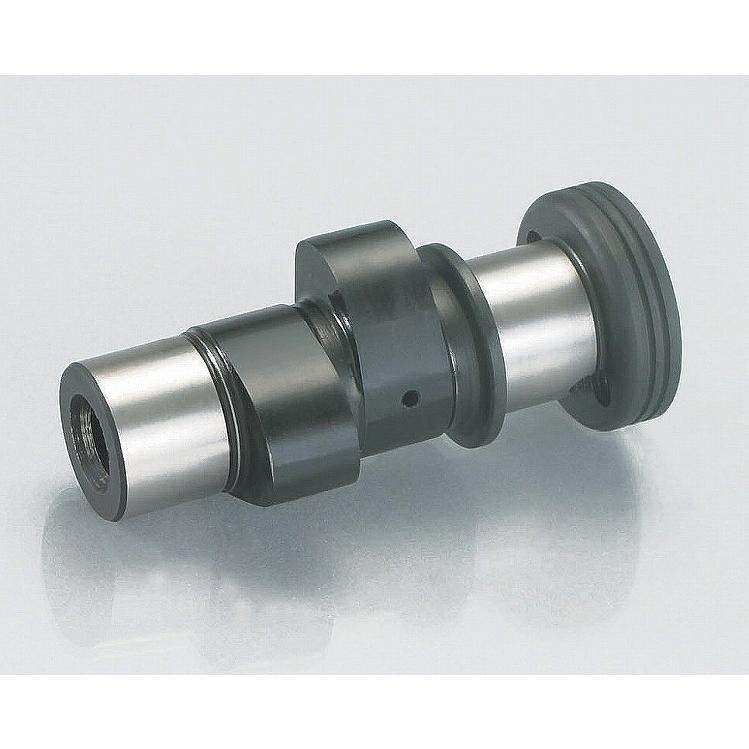 Giant SR2 前後 スルーアクスル ディスクブレーキ チューブレスレディー