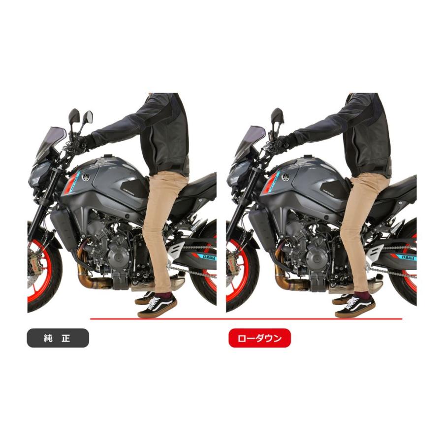 エフェックス PHA369D-SET ローダウンCOMPキット 20mmダウン プレートタイプ ブラック XSR900 MT-09 EFFEX |  | 03