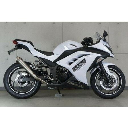 トリックスター レーシングスリップオンマフラー 雷神ロング Ninja250 Ninja300 ニンジャ250 ニンジャ300 RSS-015D-03RL マフラー