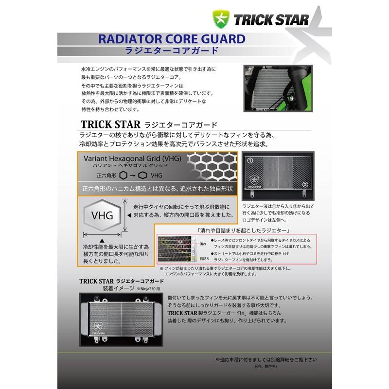 トリックスター ラジエターコアガード ブラックメッキ Kawasaki
