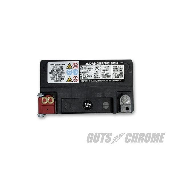 WESTCO ウエストコ 9800-4020 WCP20 バッテリー 液入充電済 79-96XL84