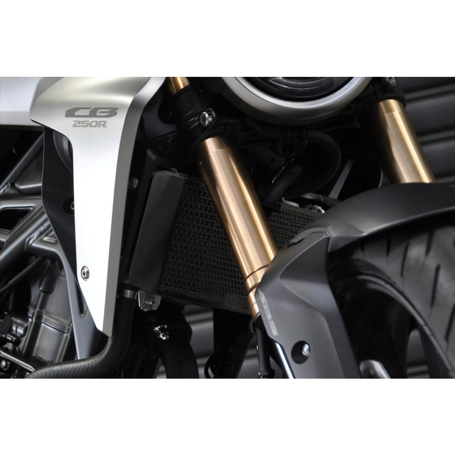 CB250R MORIWAKI(モリワキ)　ラジエーターガード ブラック モリワキ 01911-201Q6-B0 ラジエターコアガード ブラック CB250R