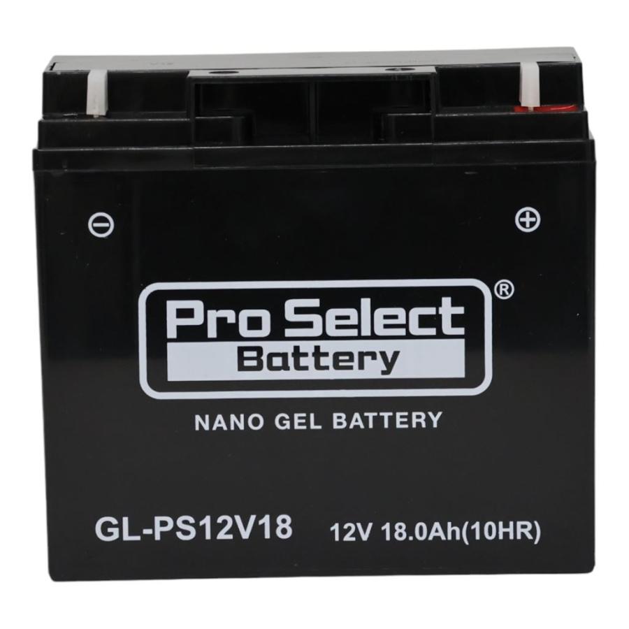 プロセレクト PSB175 GL-PS12V18 BMW専用ジェルバッテリー(NPH16-12T互換) 液入充電済 ジェルタイプ 1個 バイク用 カスタムジャパン｜bikeman｜02