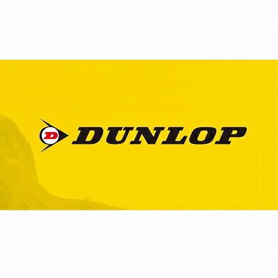 DUNLOP（ダンロップ） 134221 チューブ 17インチ 2.75:3.00 90/90 100