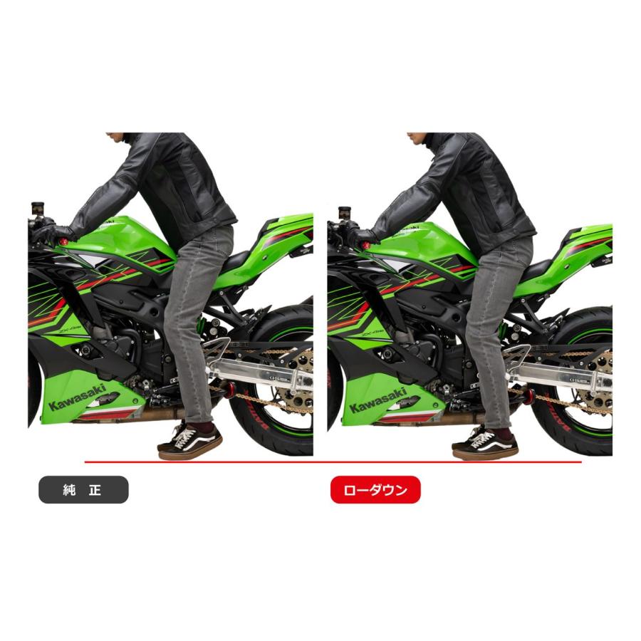 エフェックス PHA795D ローダウンキット 20mmダウン 三角プレートタイプ ブラック ニンジャ ZX-4RR ZX-4R 車高調整 パーツ EFFEX |  | 02