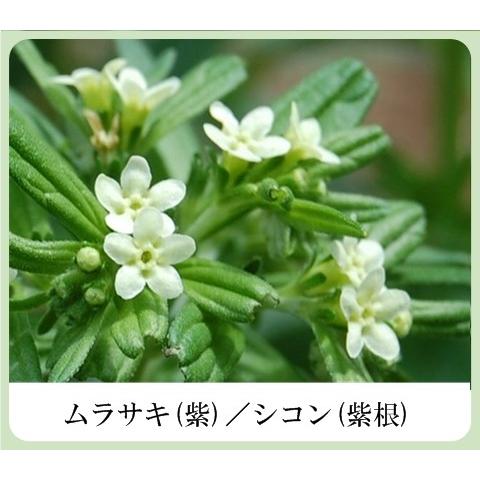 草根木花 ローション クリームセット 草根木花 ハーブ モイスチュアクリームNo.2（紫根クリーム 紫根化粧品