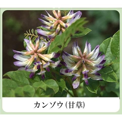 草根木花 ハーブ モイスチュアクリームNo.2（紫根クリーム 紫根化粧品